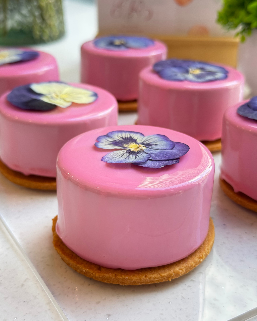 Смородина-жасмин